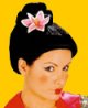 Halloween-Per�cke Geisha