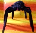Schwarze Riesenspinne mit Blinkaugen