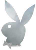 Playboy Spiegel
