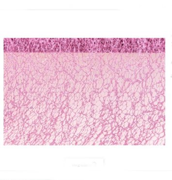 Tischlufer pink glitter 10cm x 5m
