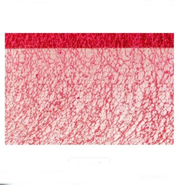 Tischlufer rot glitter 10cm x 5m