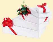100x  Geschenkschachteln / Faltkartons wei�
