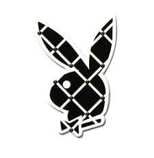 Playboy Pinnwand