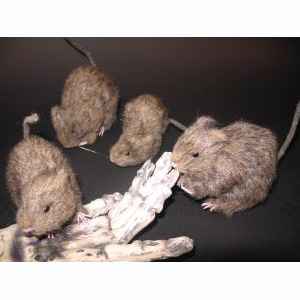 Halloween Fellige Ratte, 13 cm