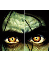 Fensterdekoration Augen des Killers