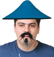 Chinesischer Bart
