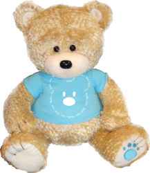 Geburt - Teddy Junge