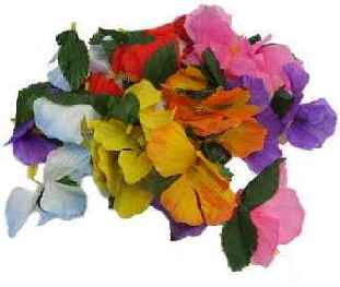 Hawaii - Hibiscus Bl�ten Mix