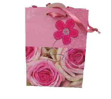 Geschenktasche