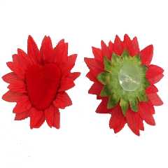 Herzblume mit Sauger