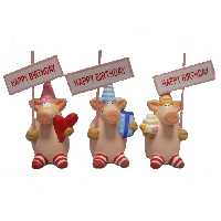 Schwein mit Happy Birthday Schild