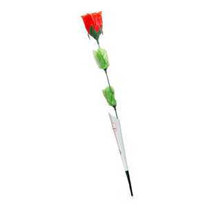 Singende Rote Rose