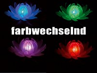 LED - Wasserrose
