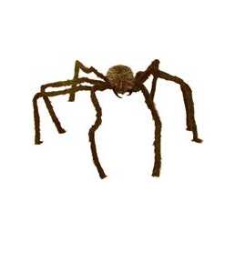 Halloween Spinnen Halloween Spinnen