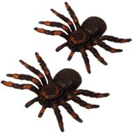 Halloween- Spinne im 2er Set