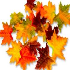 Deko-Herbstbl�tter AHORN 20 teilig