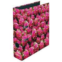 Herlitz Ordner Drachenfrucht Motiv
