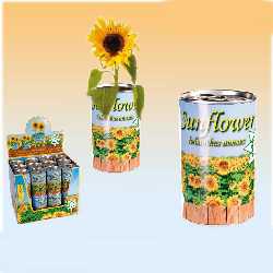 Sonnenblume in der Dose