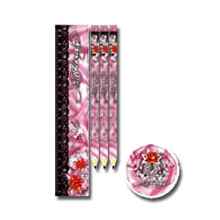 Ed Hardy VEGAS Schreibset