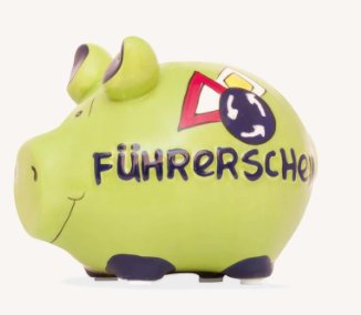 Sparschwein - Fhrerschein