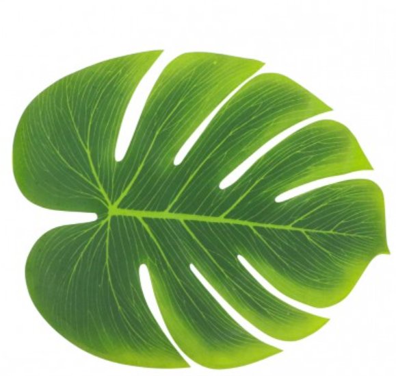 Tropische Palmenbltter 3 Stck, 29 x 35 cm