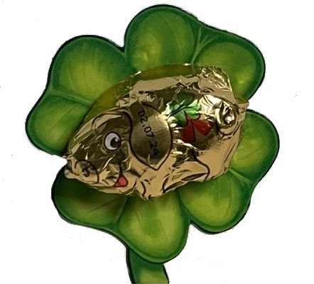 Silvester - Schwein aus Schokolade, 25 Stck