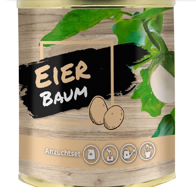 Anzuchtset Eierbaum in Dose