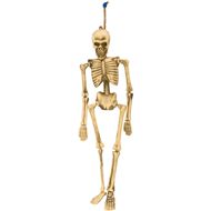 Skelett hngend, 152 cm