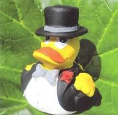 Badeente Brutigam