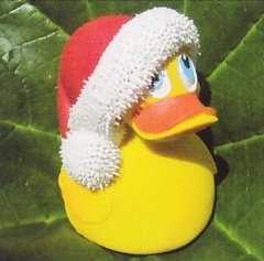 Badeente Christmas