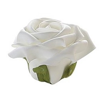 Weiße Rosenblüte zur Hochzeit