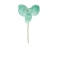 Orchideen, 6 Stck, mint