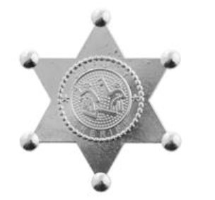 Sheriffstern in silber, 1 Stck