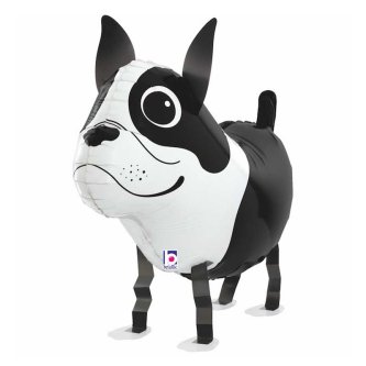 Airwalker Hund Boston Terrier