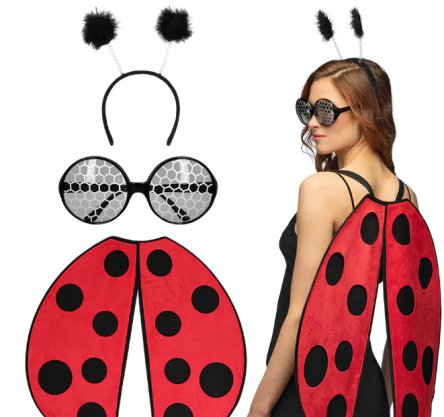Marienkfer Ladybug Verkleidung