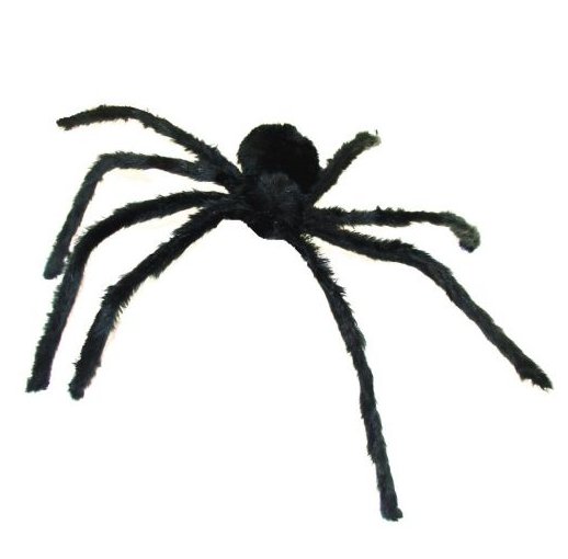 Spinne, 76 cm