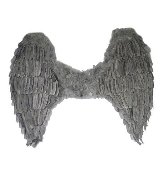 Feder Flgel - grau - 65 x 70 cm