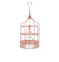 Spardose Kfig, rose gold
