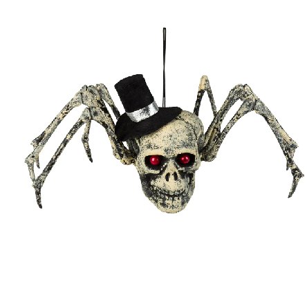 Halloween Spinnenschdel