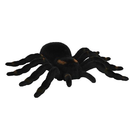 Dekoration Tarantula Spinne