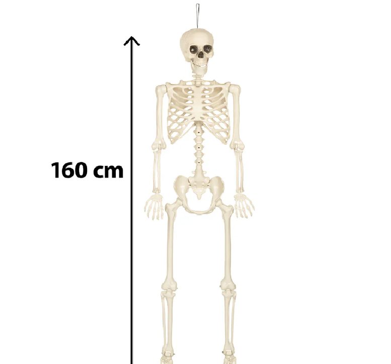H�ngedekoration Skelett