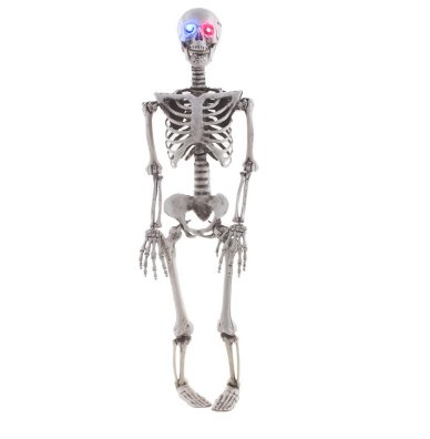 Skelett 89 cm mit Licht