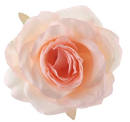 Hochzeit Rosen pfirsich, 4 St�ck