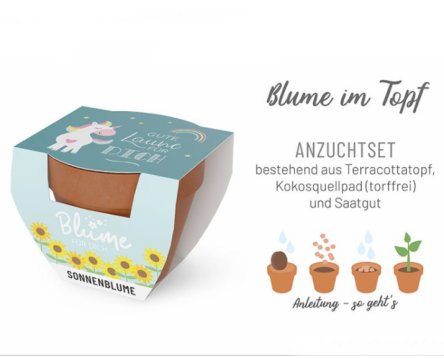Gute Laune fr Dich - Blume im Topf