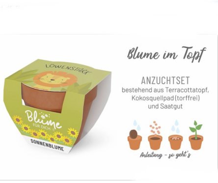 Lwenstark - Blume im Topf