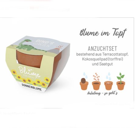 Dinos Garten - Blume im Topf