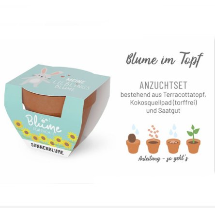 Meine Lieblingsblume - Blume im Topf